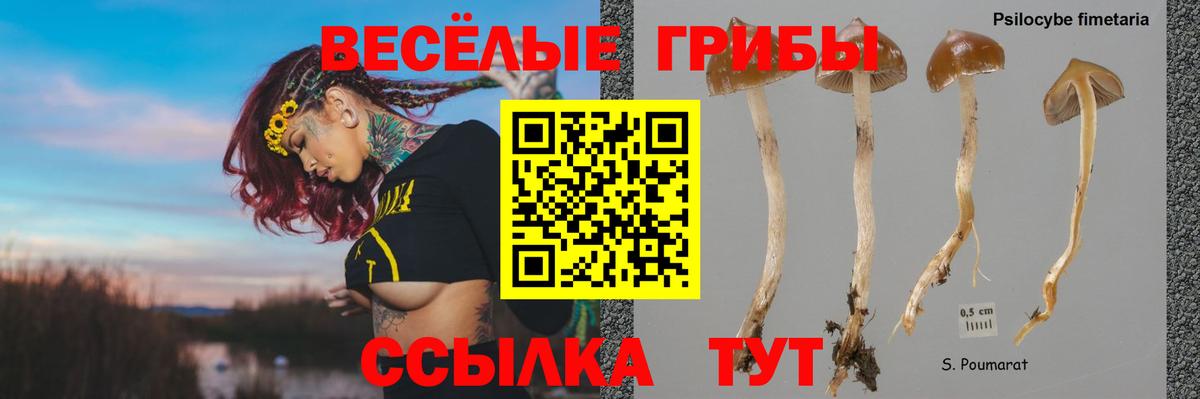 Галлюциногенные грибы мицелий Красноармейск